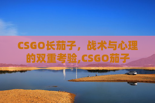 CSGO长茄子，战术与心理的双重考验,CSGO茄子