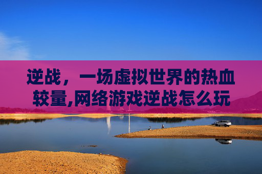 逆战，一场虚拟世界的热血较量,网络游戏逆战怎么玩