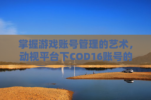 掌握游戏账号管理的艺术，动视平台下COD16账号的改绑技巧,cod16注册动视账号