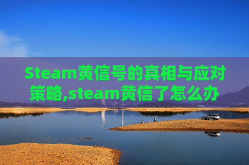 Steam黄信号的真相与应对策略,steam黄信了怎么办