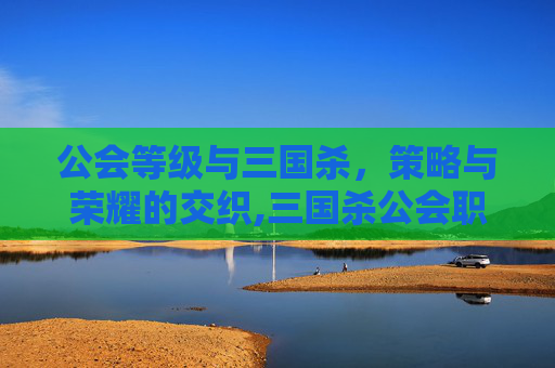 公会等级与三国杀，策略与荣耀的交织,三国杀公会职位名称