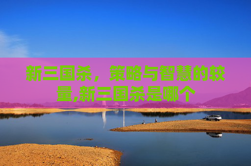 新三国杀，策略与智慧的较量,新三国杀是哪个