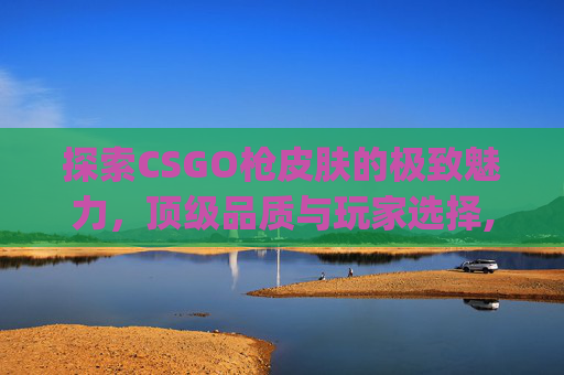 探索CSGO枪皮肤的极致魅力，顶级品质与玩家选择,csgo枪皮肤最贵排行榜
