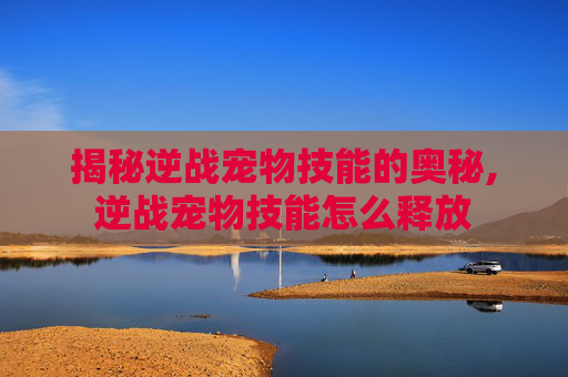揭秘逆战宠物技能的奥秘,逆战宠物技能怎么释放