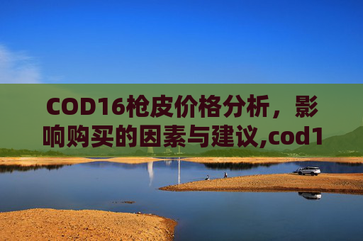 COD16枪皮价格分析，影响购买的因素与建议,cod16枪配件