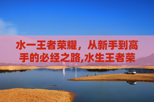 水一王者荣耀，从新手到高手的必经之路,水生王者荣耀