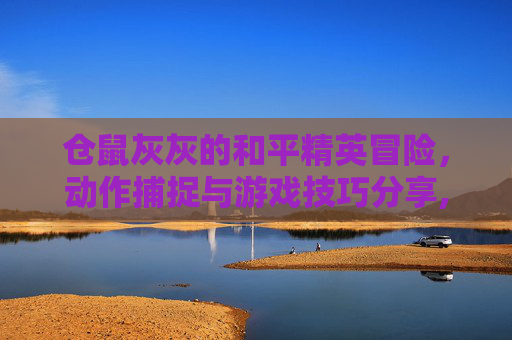 仓鼠灰灰的和平精英冒险，动作捕捉与游戏技巧分享,m416仓鼠灰灰