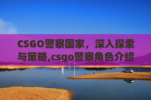 CSGO警察国家，深入探索与策略,csgo警察角色介绍