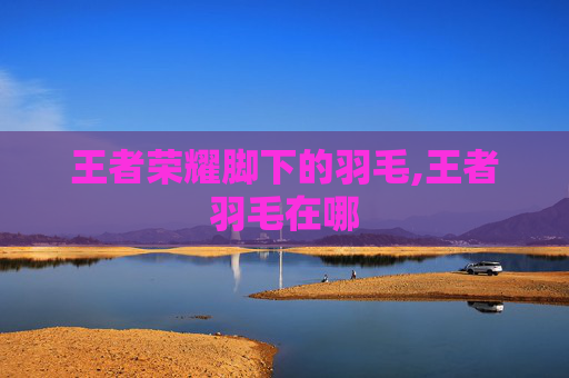 王者荣耀脚下的羽毛,王者羽毛在哪