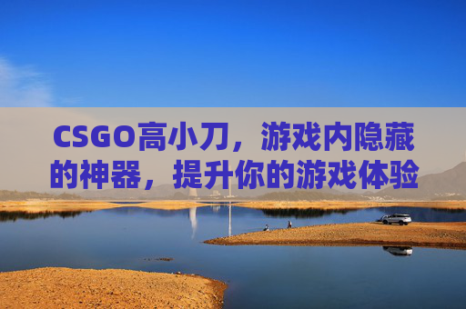 CSGO高小刀，游戏内隐藏的神器，提升你的游戏体验,cs小刀是多少钱