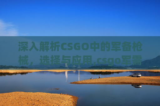 深入解析CSGO中的军备枪械，选择与应用,csgo军需