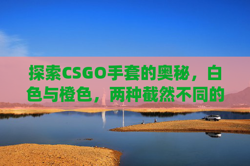探索CSGO手套的奥秘，白色与橙色，两种截然不同的风格,白色和橙色csgo手套一样吗
