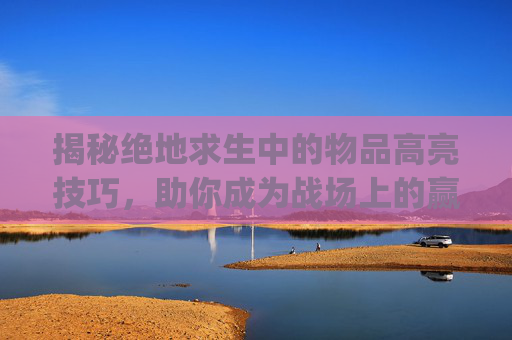 揭秘绝地求生中的物品高亮技巧，助你成为战场上的赢家！,pubg怎么让物品发亮