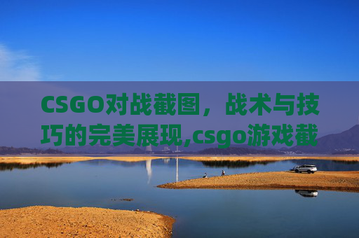 CSGO对战截图，战术与技巧的完美展现,csgo游戏截图在哪