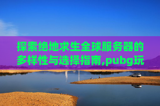 探索绝地求生全球服务器的多样性与选择指南,pubg玩哪个服比较好