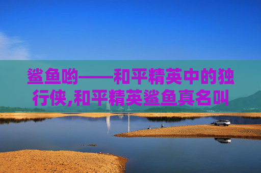 鲨鱼哟——和平精英中的独行侠,和平精英鲨鱼真名叫什么