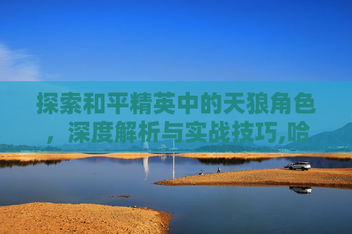 探索和平精英中的天狼角色，深度解析与实战技巧,哈尔滨华为手机售后维修点在哪里