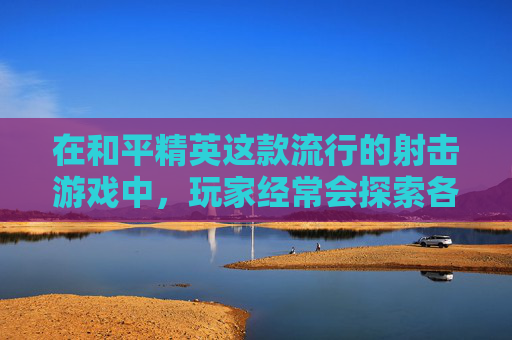 在和平精英这款流行的射击游戏中，玩家经常会探索各种获取稀有物品的方法。今天，我们将探讨如何获得游戏中的神秘黑猫，这不仅仅是一个有趣的挑战，更是对玩家策略和技巧的一种考验。,和平精英神秘黑猫怎么得到的