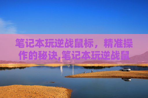 笔记本玩逆战鼠标，精准操作的秘诀,笔记本玩逆战鼠标没反应