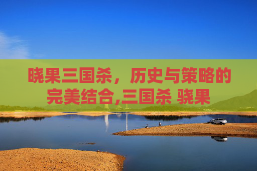 晓果三国杀，历史与策略的完美结合,三国杀 骁果