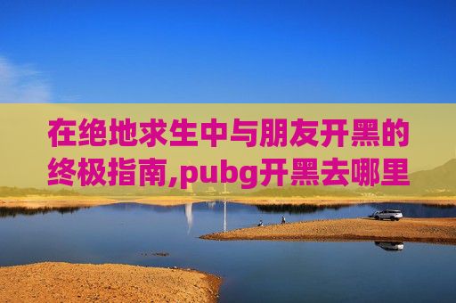 在绝地求生中与朋友开黑的终极指南,pubg开黑去哪里找人