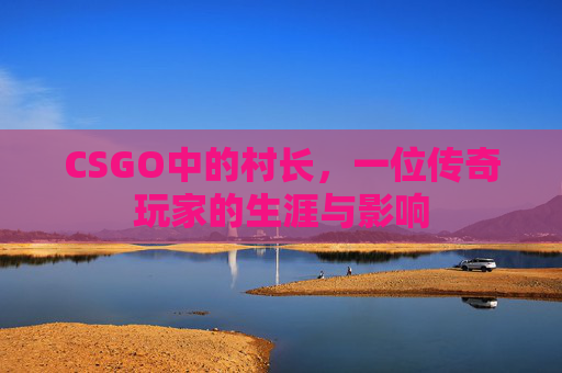 CSGO中的村长，一位传奇玩家的生涯与影响