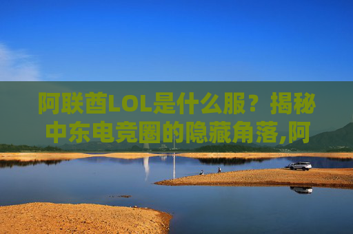 阿联酋LOL是什么服？揭秘中东电竞圈的隐藏角落,阿联酋什么意思