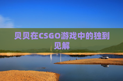 贝贝在CSGO游戏中的独到见解