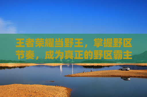 王者荣耀当野王，掌握野区节奏，成为真正的野区霸主,王者荣耀当野王容易吗