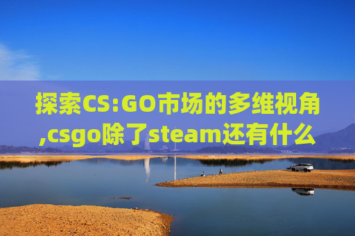 探索CS:GO市场的多维视角,csgo除了steam还有什么平台