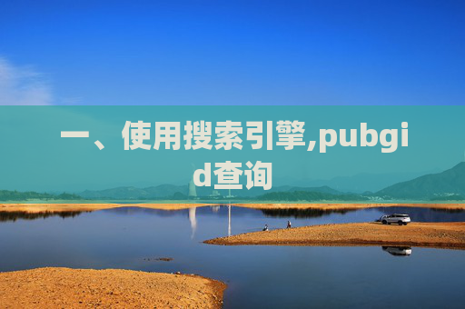 一、使用搜索引擎,pubgid查询