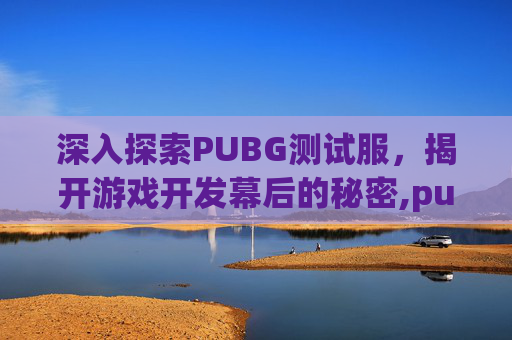 深入探索PUBG测试服，揭开游戏开发幕后的秘密,pubg测试服和正式服区别