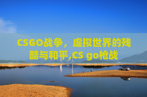 CSGO战争，虚拟世界的残酷与和平,CS go枪战