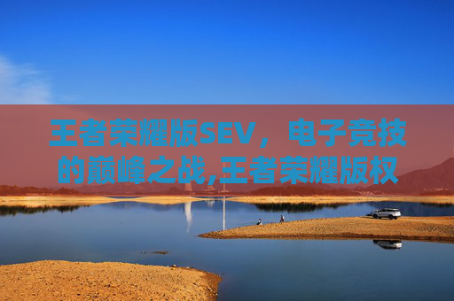 王者荣耀版SEV，电子竞技的巅峰之战,王者荣耀版权归谁