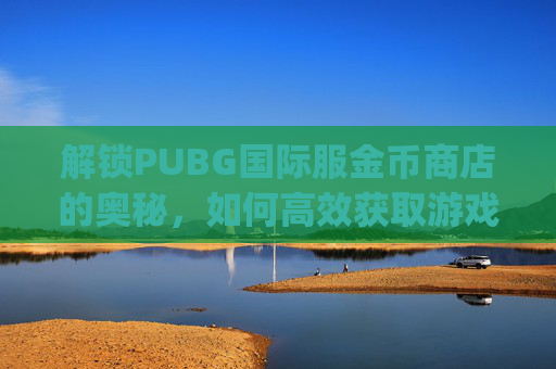 解锁PUBG国际服金币商店的奥秘，如何高效获取游戏内货币,Pubg国际服怎么赠送金币