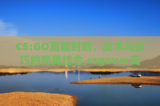 CS:GO高能时刻，战术与技巧的完美结合,csgovar高