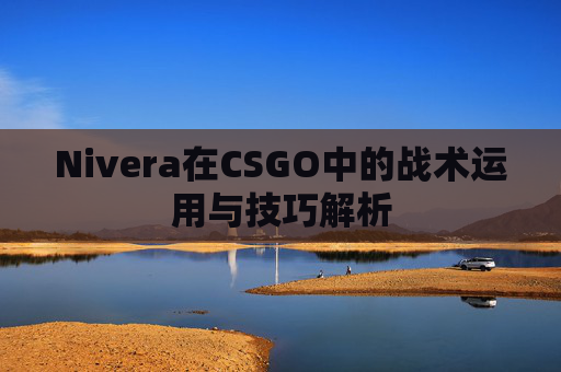 Nivera在CSGO中的战术运用与技巧解析