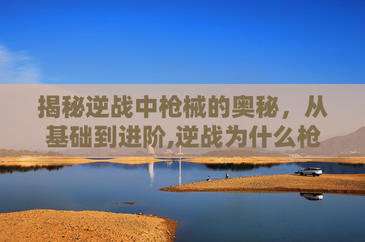 揭秘逆战中枪械的奥秘，从基础到进阶,逆战为什么枪带不进游戏