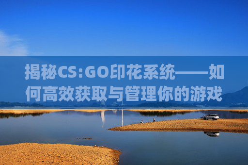 揭秘CS:GO印花系统——如何高效获取与管理你的游戏成就,csgo印花会消失吗