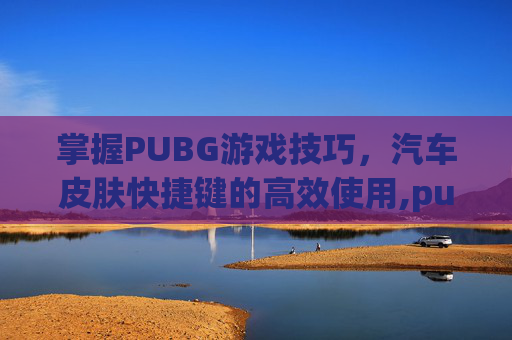 掌握PUBG游戏技巧，汽车皮肤快捷键的高效使用,pubg怎么给车上皮肤
