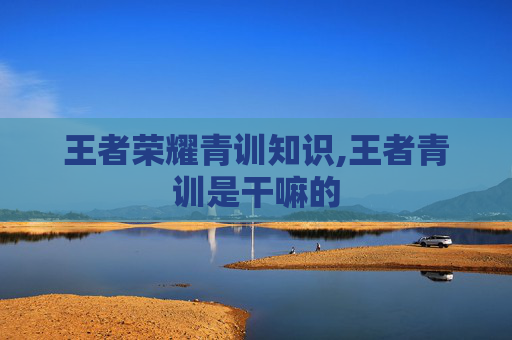 王者荣耀青训知识,王者青训是干嘛的