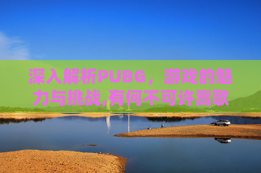深入解析PUBG，游戏的魅力与挑战,有何不可许嵩歌曲