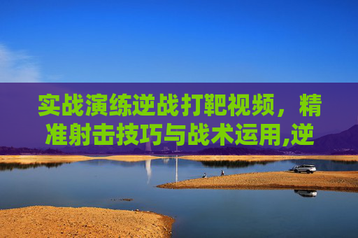 实战演练逆战打靶视频，精准射击技巧与战术运用,逆战靶场入口在哪里