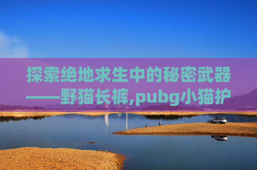 探索绝地求生中的秘密武器——野猫长裤,pubg小猫护体T恤