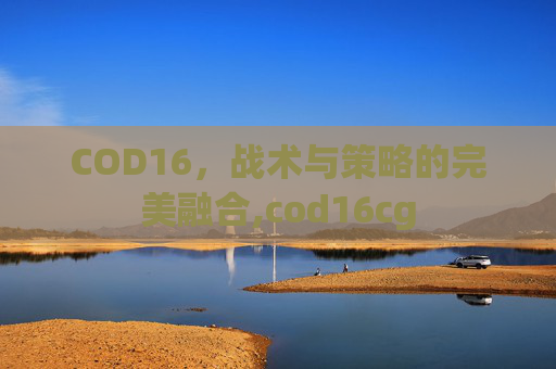 COD16，战术与策略的完美融合,cod16cg