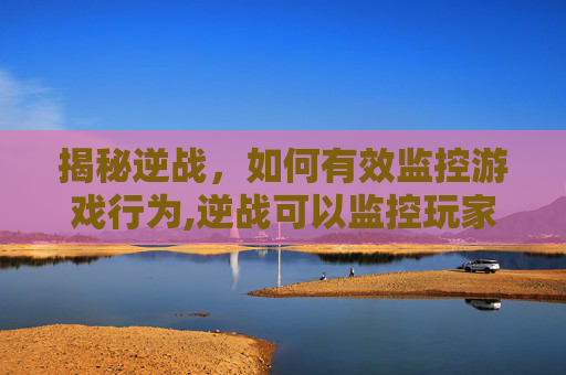 揭秘逆战，如何有效监控游戏行为,逆战可以监控玩家吗