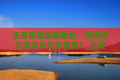 王者荣耀金曜粉丝，如何成为游戏中的佼佼者？,王者荣耀金曜粉丝叫什么
