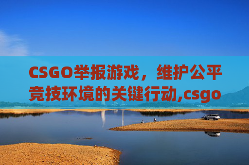 CSGO举报游戏,维护公平竞技环境的关键行动,csgo举报奖励机制-第1张图片-游戏守望资讯网 CSGO举报游戏,维护公平竞技环境的关键行动,csgo举报奖励机制-第1张图片-游戏守望资讯网