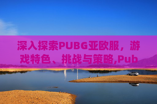 深入探索PUBG亚欧服，游戏特色、挑战与策略,Pubg亚服pubg亚服