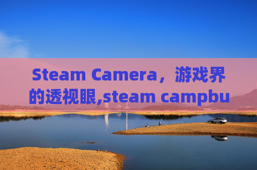 Steam Camera，游戏界的透视眼,steam campbuddy
